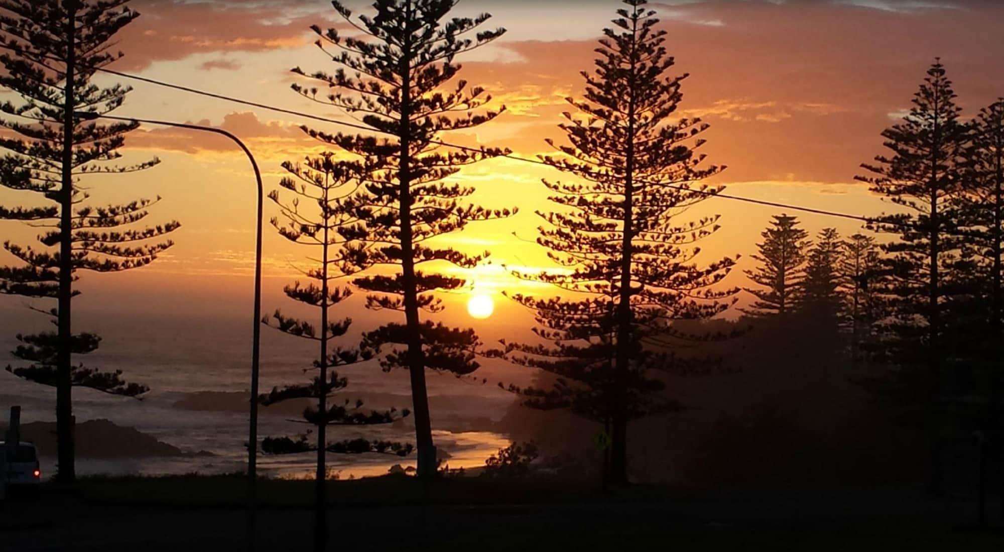 Ibis Styles Port Macquarie Hotell Exteriör bild
